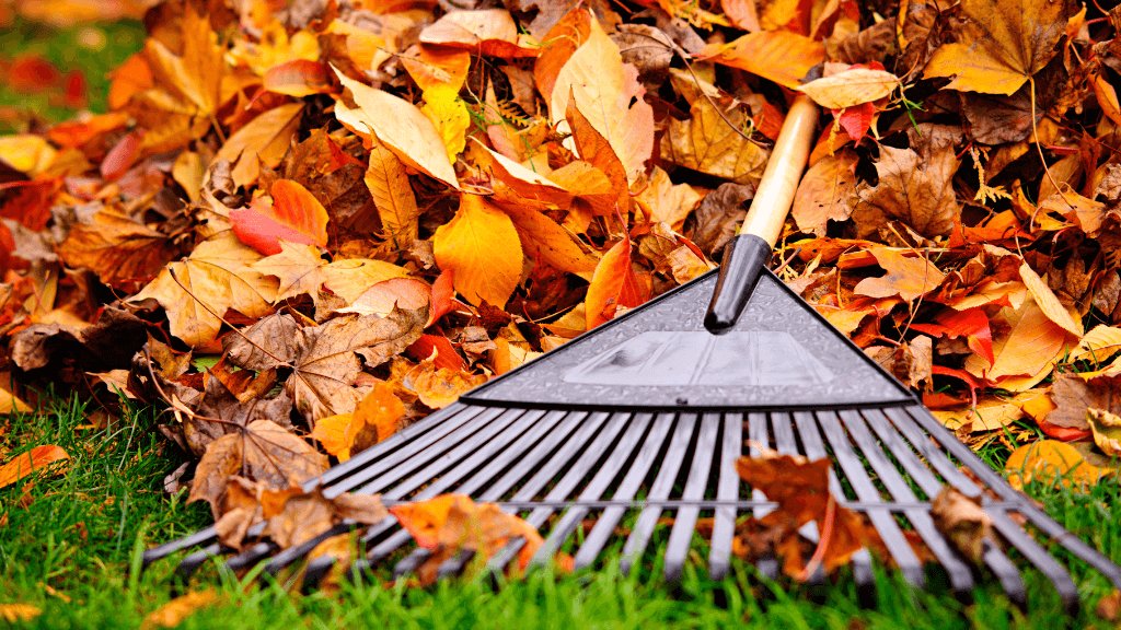 Professional Leaf Removal in Berks County