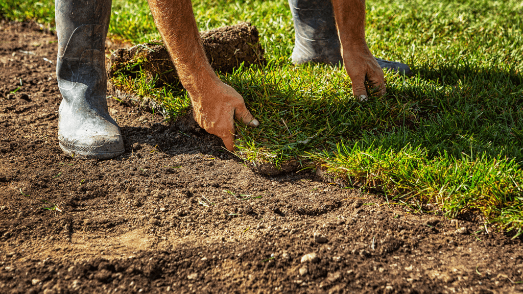 Berks County PA Sod Installation