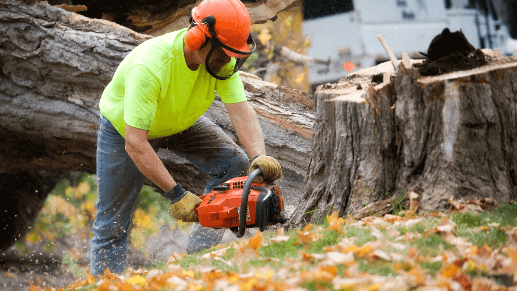 Berks County PA Tree Services