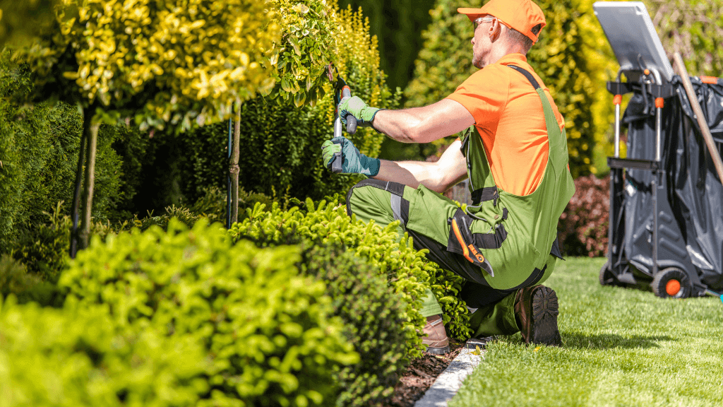 Berks County Shrub Trimming