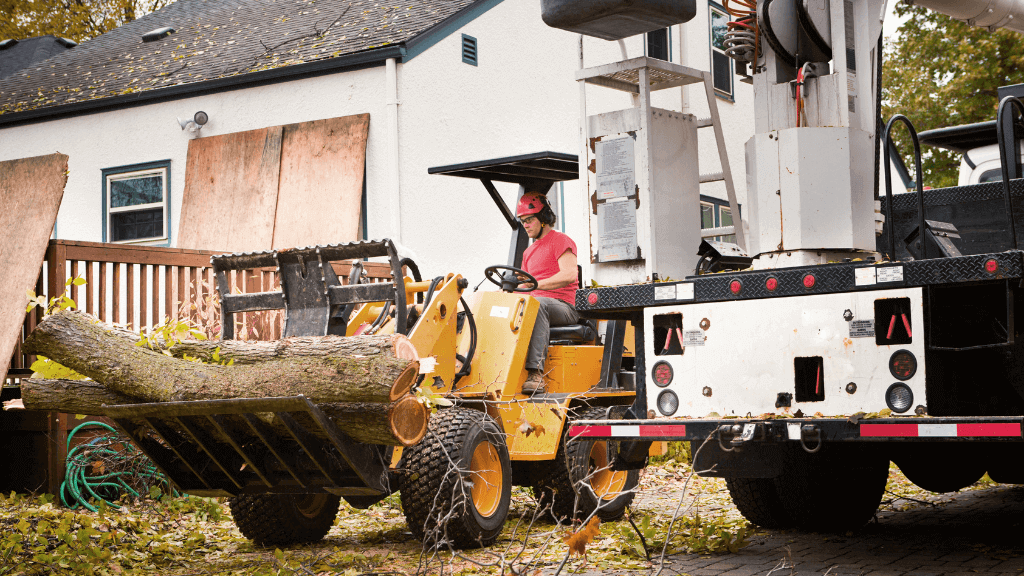 Berks County Tree Cutting