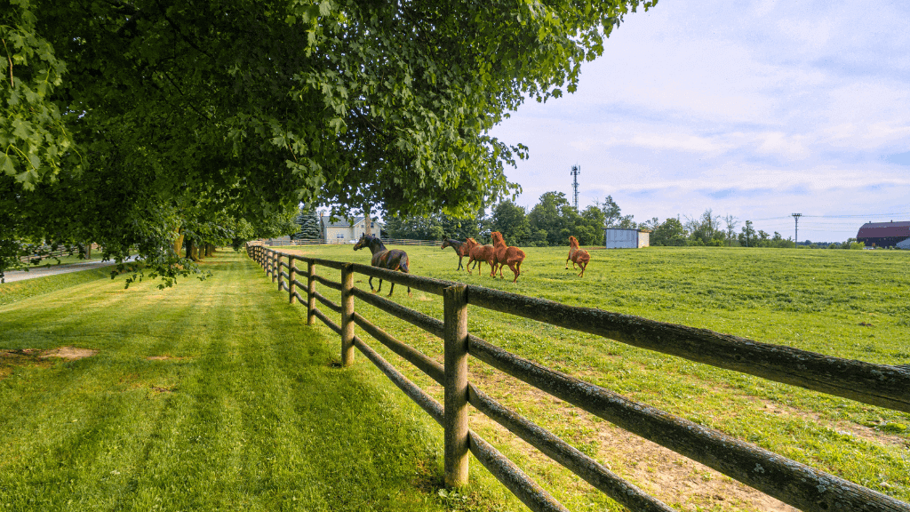 Estate and High-End Residential Landscaping in Berks County PA