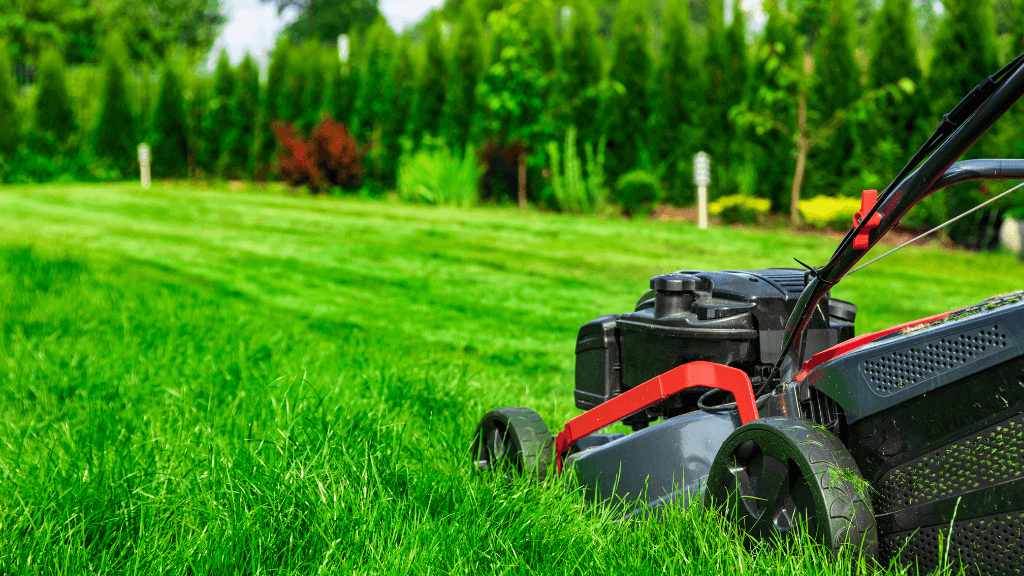 Lawn Care Services in Berks County PA