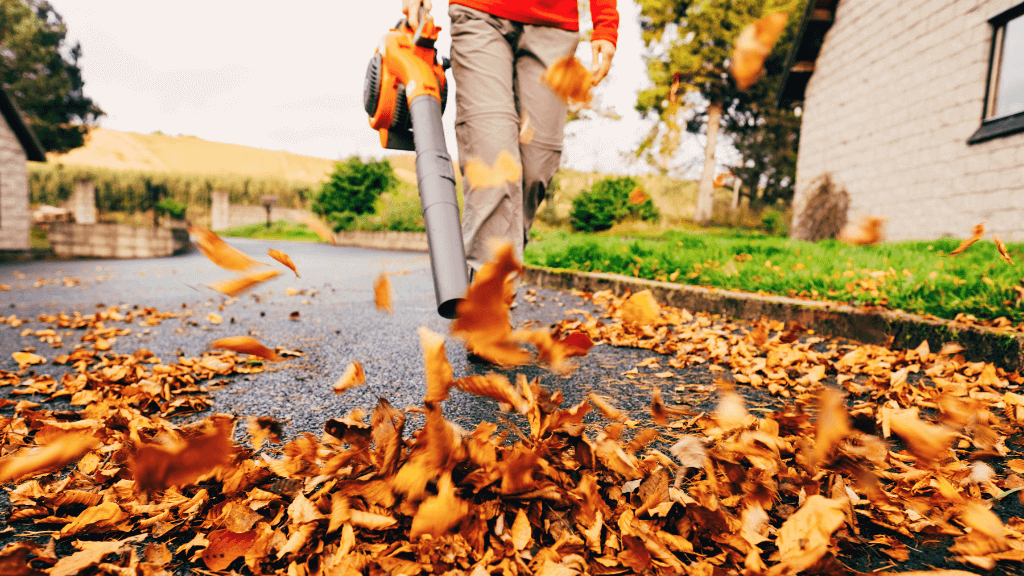 Professional Leaf Cleanup Services in Berks County PA