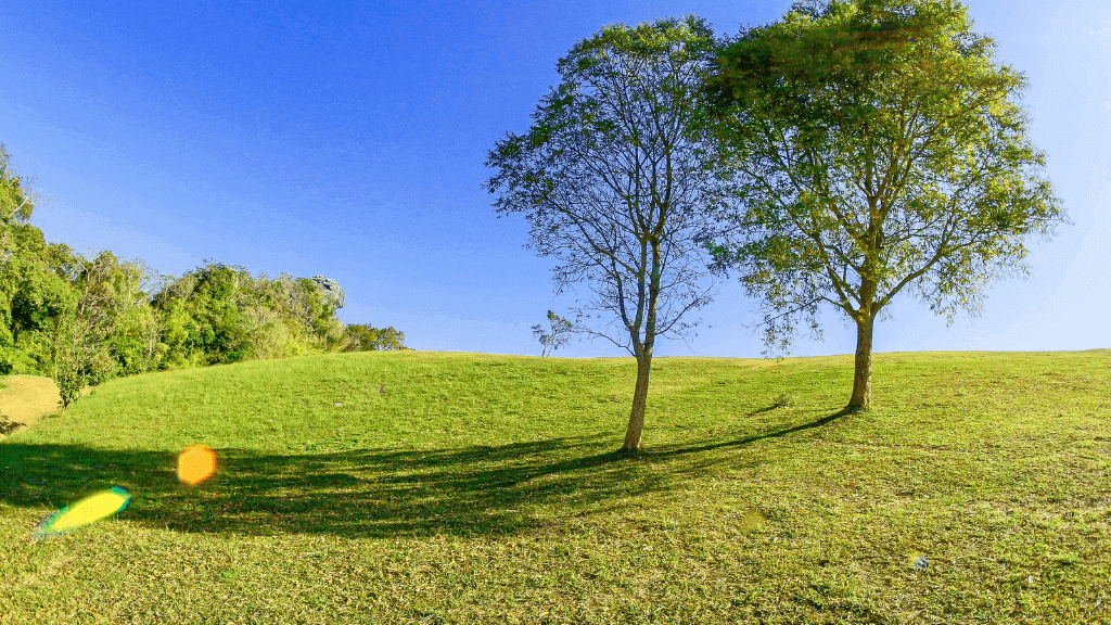 Robesonia PA Landscaping 19551