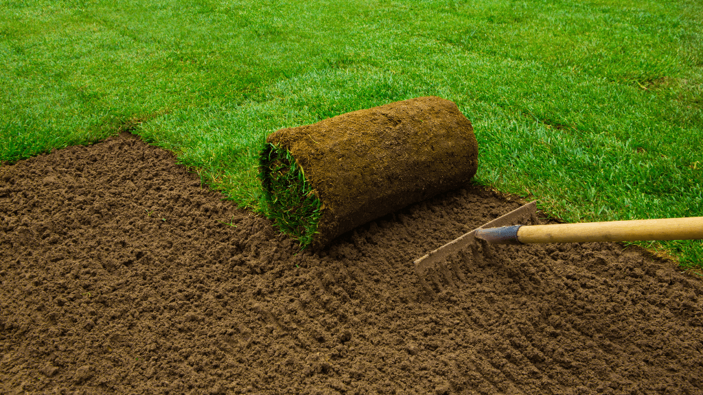 Sod Installation in Berks County PA